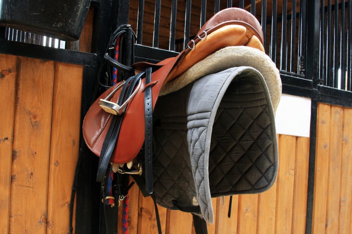 Find a wide selection of quality used saddles for sale !